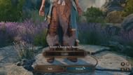 Baldur's Gate 3 - How to change name (Image via Larian Studios)